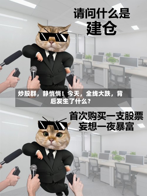 炒股群，静悄悄！今天，全线大跌	，背后发生了什么？-第2张图片