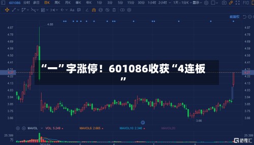 “一”字涨停！601086收获“4连板	”-第2张图片