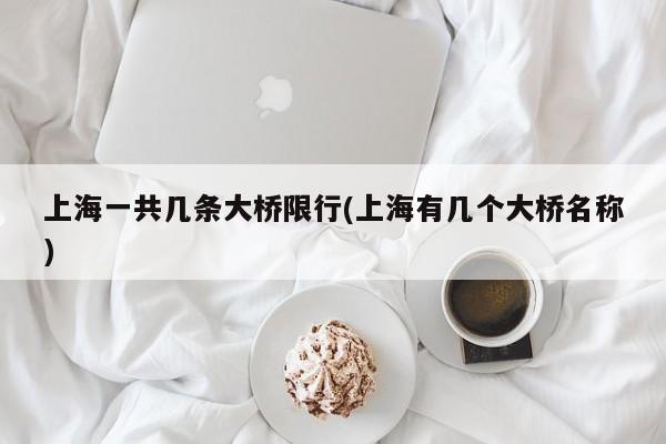 上海一共几条大桥限行(上海有几个大桥名称)