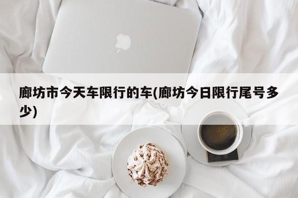 廊坊市今天车限行的车(廊坊今日限行尾号多少)