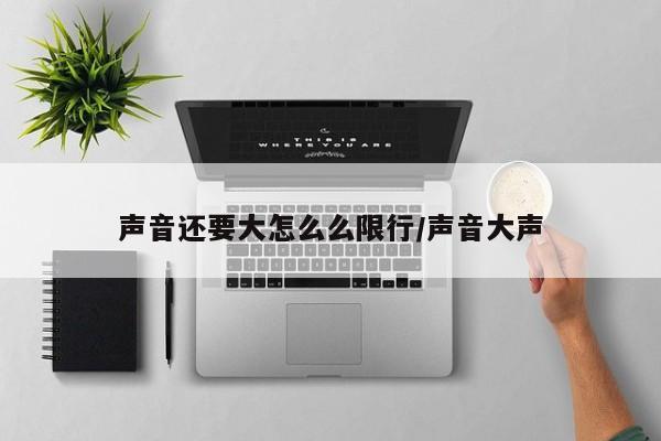 声音还要大怎么么限行/声音大声