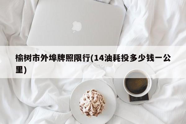 榆树市外埠牌照限行(14油耗投多少钱一公里)