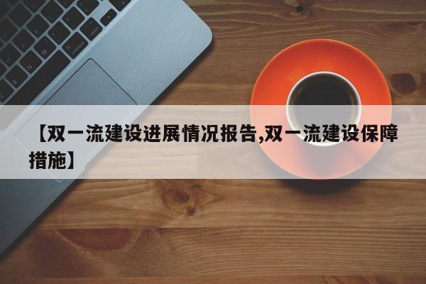 【双一流建设进展情况报告,双一流建设保障措施】