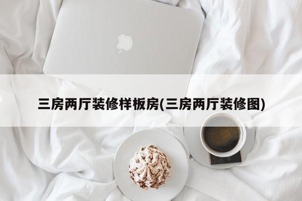 三房两厅装修样板房(三房两厅装修图)