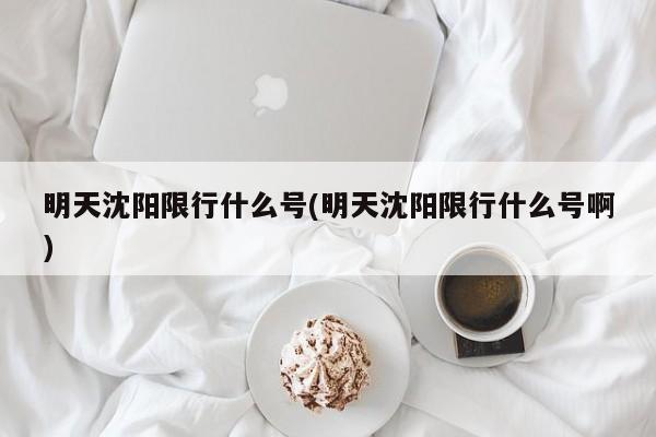 明天沈阳限行什么号(明天沈阳限行什么号啊)