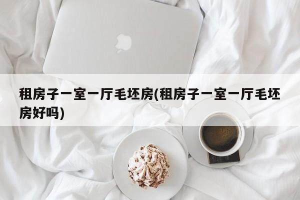 租房子一室一厅毛坯房(租房子一室一厅毛坯房好吗)