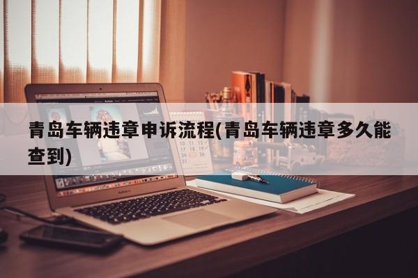 青岛车辆违章申诉流程(青岛车辆违章多久能查到)